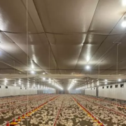 Midfelt-Agro-revista-do-frio